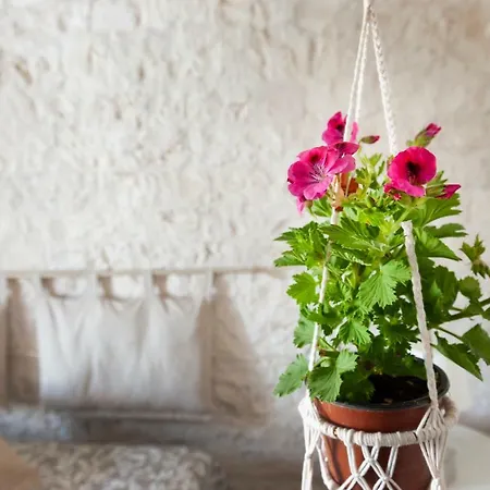 Villa Trullo Di Mariluna Selva Di Fasano